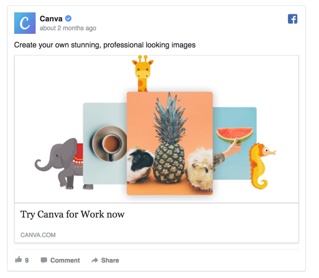 canva facebook ad example