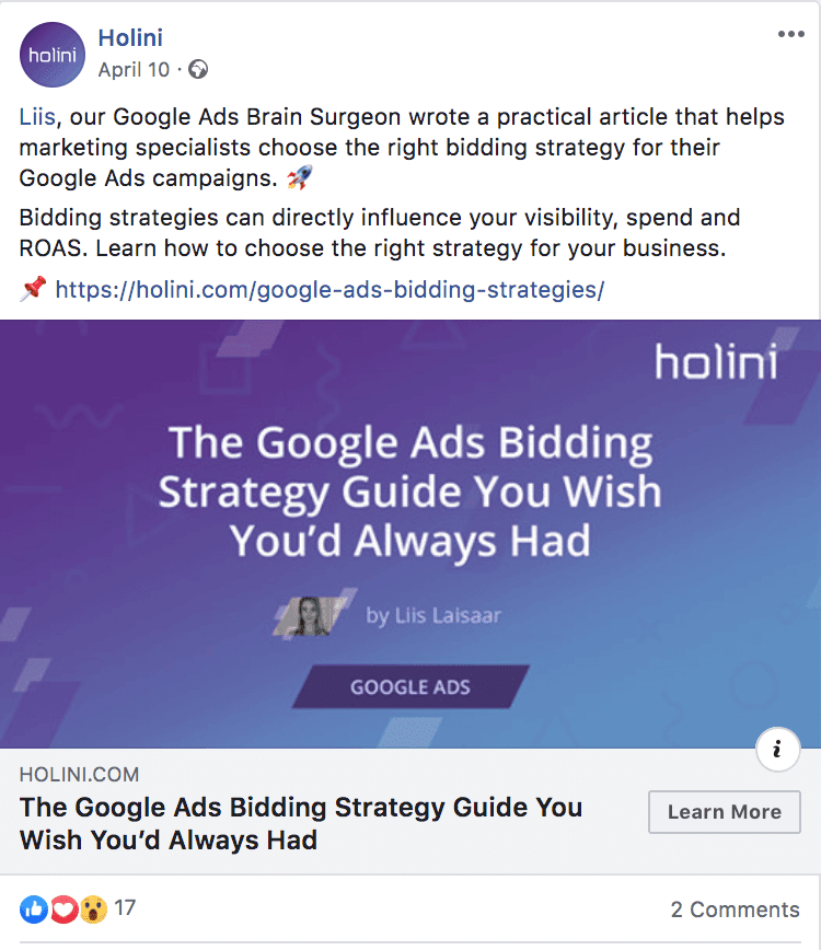 holini facebook ad example