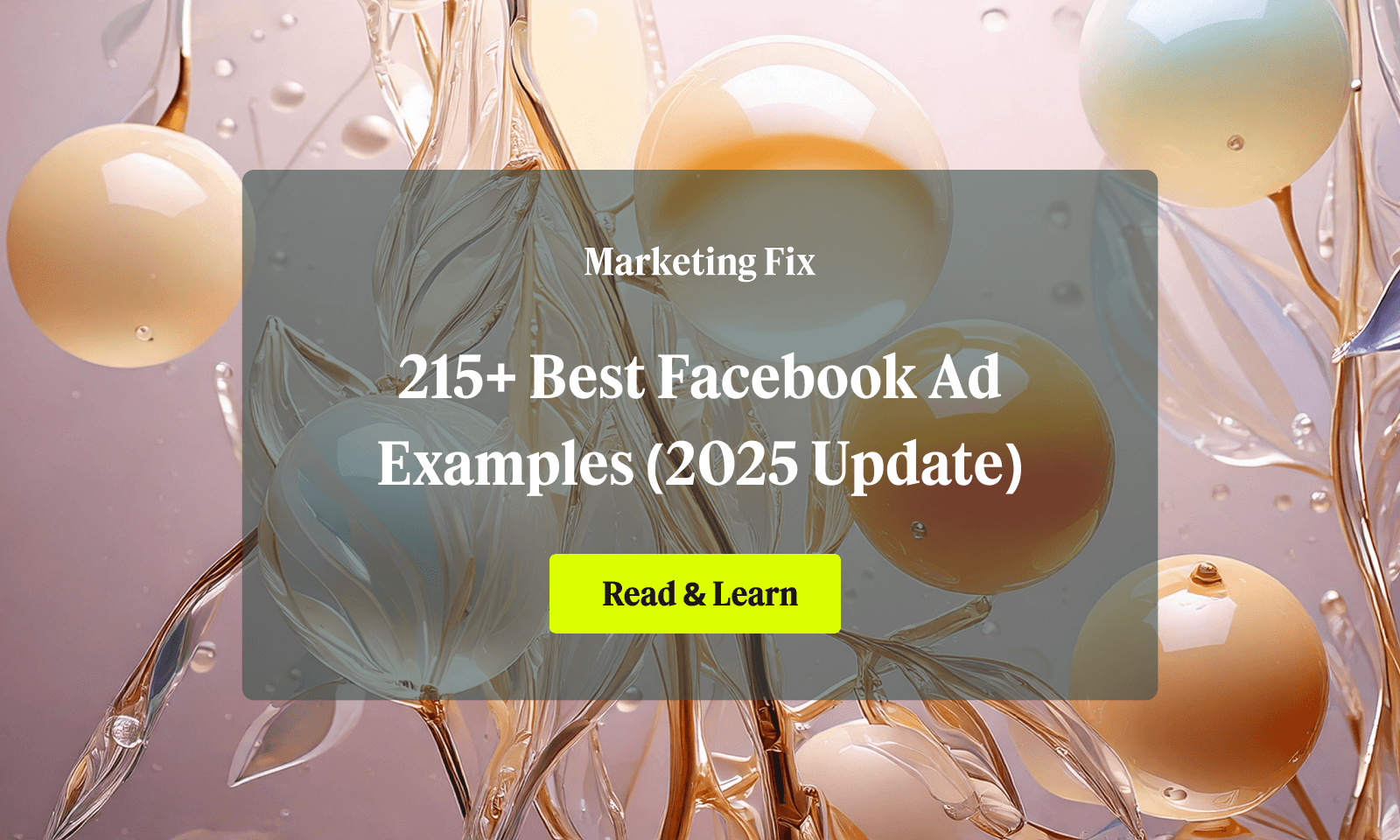 215+ Best Facebook Ad Examples (NEW 2025 Update)